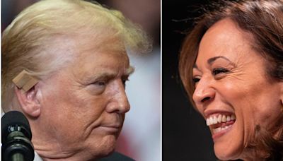 Karl Rove reveals who he 'fully expects' will lead Trump-Harris race by DNC's end