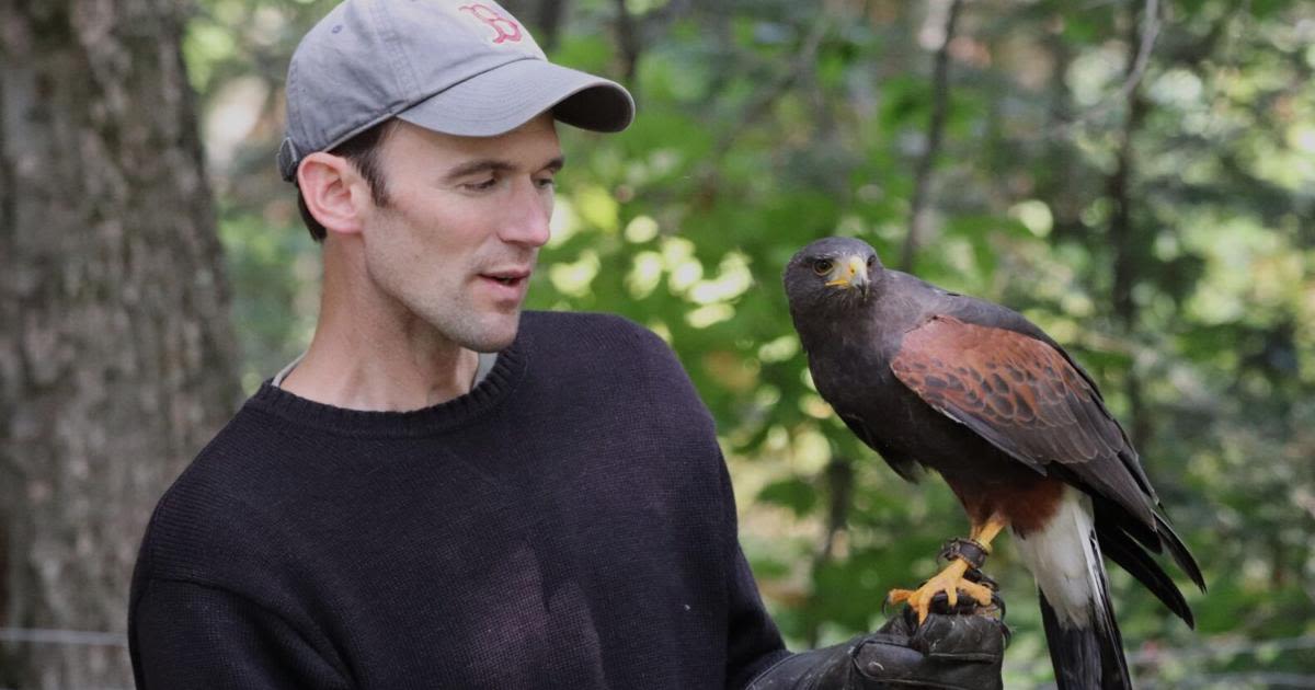 Birds of prey take wing in Londonderry demonstration