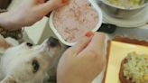 ¿Qué puede pasarle a una persona si come comida para perro? El reto viral de un influencer para ganar masa muscular