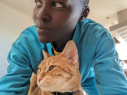 Lupita Nyong'o adoptó un gato para que la ayudara a superar un ‘momento difícil’ y ahora no puede vivir sin él