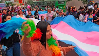 Polémica por un decreto oficial del gobierno de Perú: definió a las personas transexuales como “enfermas mentales” | Mundo