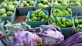 Hamilton Farmers Market opens May 4