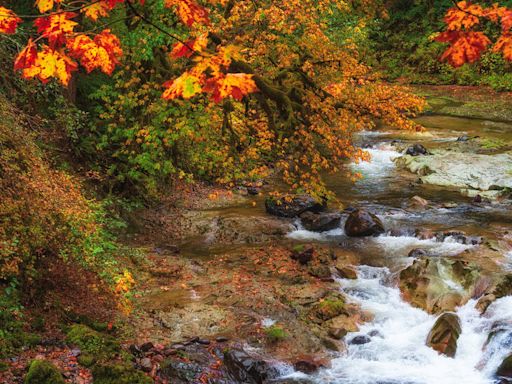 7 Beautiful Places for Fall Foliage That Aren’t in New England