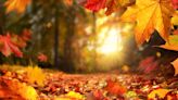 75 Best Fall Quotes To Celebrate the Start of the Loveliest Season