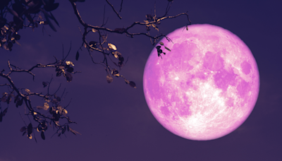 The Full Flower Moon Is Blooming Soon! Best Times To See & More