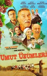 Umut Üzümleri