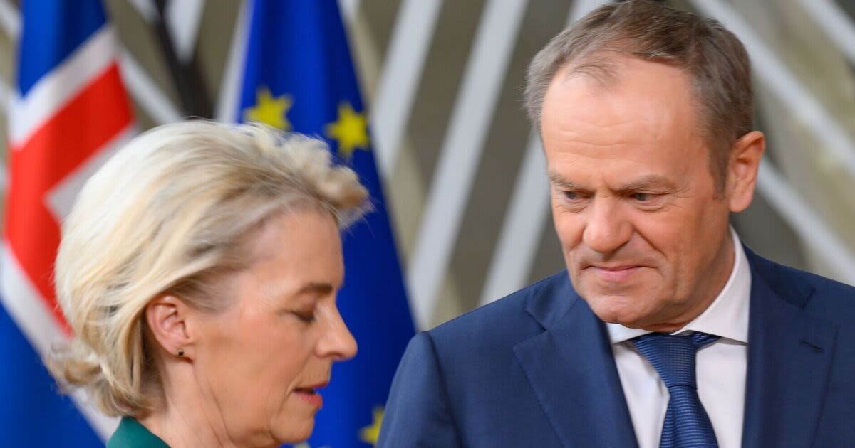 Meddling EU's move to scrap Poland legal action 'cooked up by Tusk and VDL'