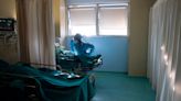 Muere en Boston el primer paciente en recibir trasplante de riñón de cerdo - El Diario NY