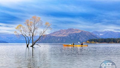【紐西蘭瓦納卡1】划獨木舟拜訪世界最孤獨的樹 搭直升機用上帝視角飽覽小鎮隱世美景 - 鏡週刊 Mirror Media