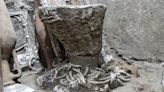 Descubren herramientas de un carpintero en un suburbio de Pompeya saqueado hace años