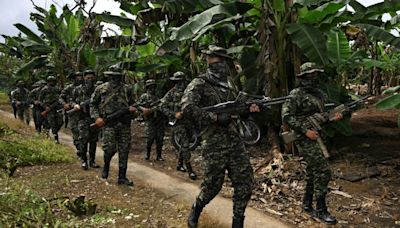 Colombia rebel group imposes control in restive coca zone