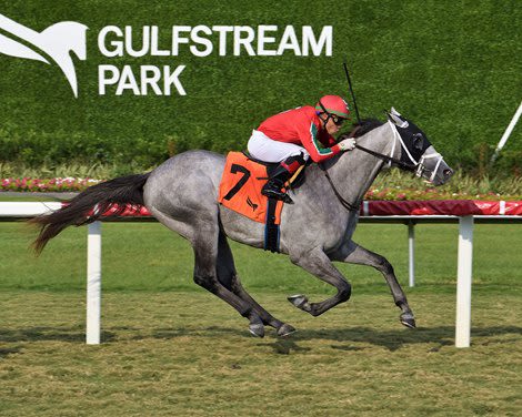 Gabaldon Headed to Ascot After Royal Palm Victory