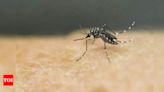 1st pregnant woman detected with Zika in Pune; cases now 5 | Pune News - Times of India
