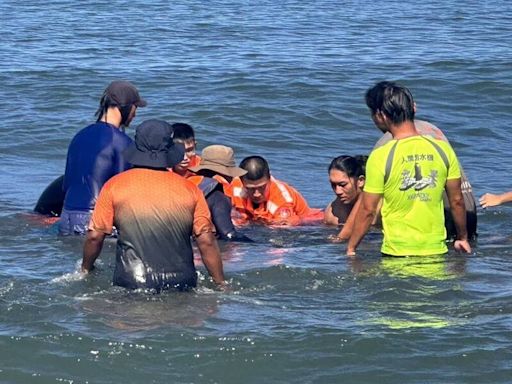 花紋海豚擱淺安平漁光島 岸巡、成大教授聯手救援