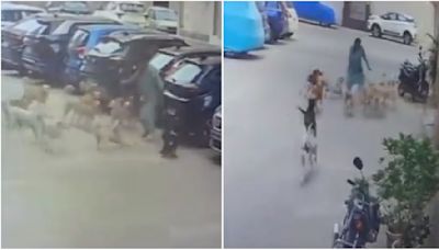 Terrifying VIDEO: Brave Woman Fights Off Around 15 Stray Dogs With Slipper In Hyderabad
