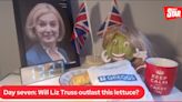 Lettuce Outlasts Resigned UK Prime Minister Liz Truss in Viral Video
