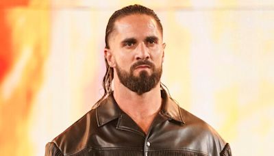 Seth Rollins Attends Chicago Bears Game, Gets Thrown Over The Barricade