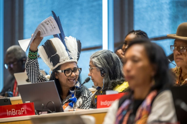 Celebrations as new biopiracy treaty agreed at UN