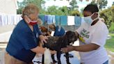 ANIMAL CONNECTION: SPCA Albrecht Center in need of volunteers