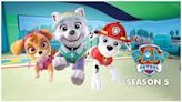 PAW Patrol Season 5 Streaming: Watch & Stream Online via Paramount Plus