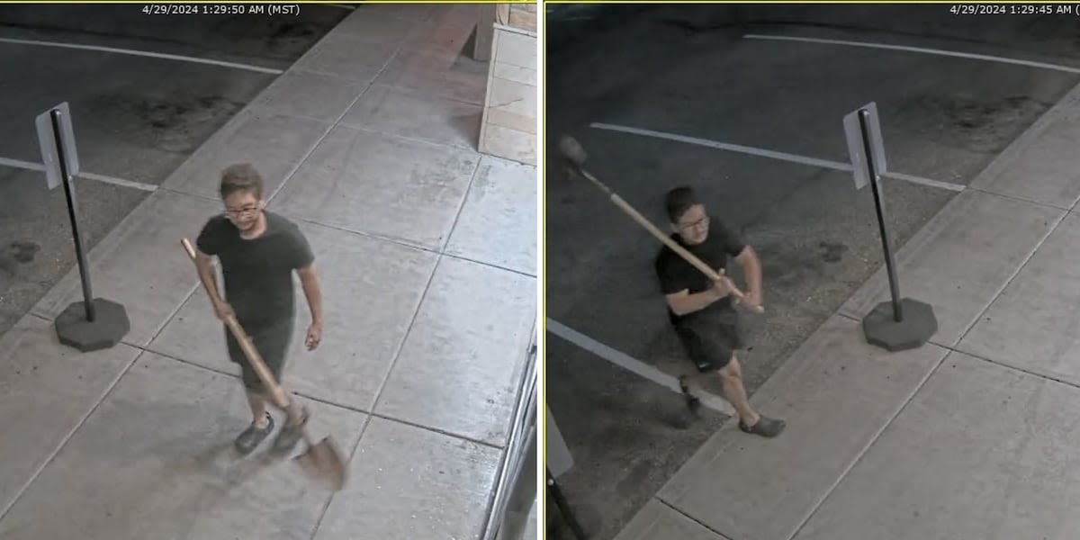 Surprise police looking for burglar known as the ‘Croc Bandit’