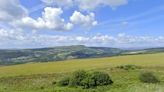 'Premium' holiday lodges planned for Neath Valley forestry