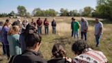Bison return to Texas Indigenous lands, reconnecting tribes to their roots