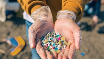 Día del Medio Ambiente: el relato de empresas para superar el desafío de la contaminación por plásticos - La Tercera