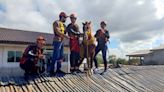 Brazilian horse ‘Caramelo’ rescued after being trapped on roof by floods