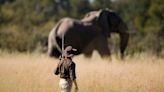 Recent U.S. Fish & Wildlife Service Ruling Sparks New Debate Over Elephant Hunting