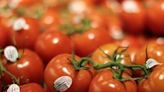 Tomato prices surge to Rs 90 per kg in Delhi markets amid supply woes