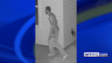 Escambia County deputies search for home burglary suspect