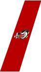 Youngstown State Penguins