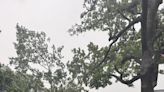 Four dead after fast-moving strong storms batter Houston
