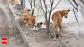 Stray dogs kill 18-month-old in Hyderabad | India News - Times of India