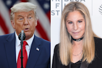 Barbra Streisand s Donald Trump bragging post takes off online