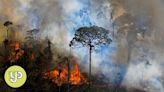 One third of Amazon rainforest ‘degraded’ by human activity and drought, study finds