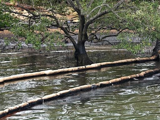 Oil spill incident: Time needed to assess full extent of environmental impact, says Desmond Lee