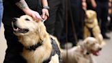 8 new K-9s dogs and handlers ‘graduate,’ join Cuyahoga County Sheriff’s efforts to combat drugs in prisons (photos)