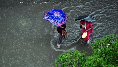 Maharashtra rains: Group of picnickers rescued from hill in rain-soaked Navi Mumbai