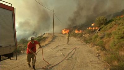 'Wall' of flames: Locals evacuated from Evia in Greece as another wildfire takes hold