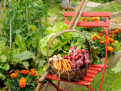 Gardener's notebook: Don't get green-fingered envy — it's not too late to grow your own food this year