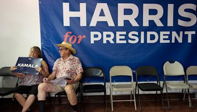 Election Live Updates: Harris V.P. Auditions Ramp Up, on Television and on the Trail