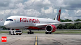 2nd time in over a year: Air India Delhi-US flight diverted to Russia following snag - Times of India