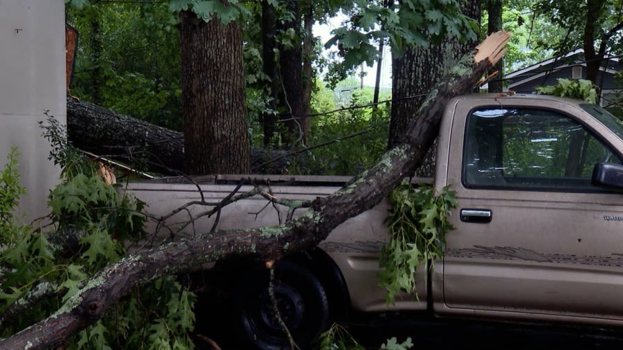 West Charlotte family assesses damage after storm causes tree to fall onto car, powerlines