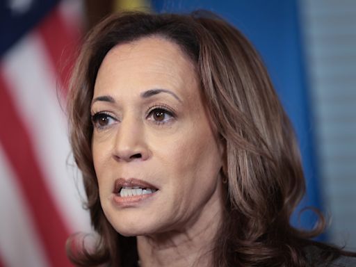 ‘The Worst Democratic Performance in a Generation’: CNN Sounds Alarm on Harris’s Waning Support Among Union Voters