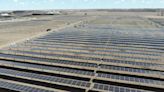 Solar farm takes shape