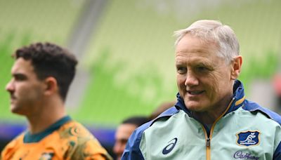 Some Australians greet Joe Schmidt’s box-kicking approach like an invasive species