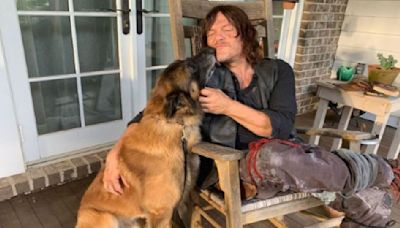 'Gonna Miss You Seven': Norman Reedus Pays Tribute To His 'Best TV Buddy' As The Walking Dead Dog Passes Away