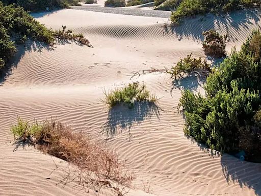 World Sand Dune Day; Sand Dune spots for each zodiac sign - Times of India